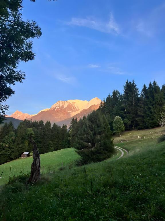 Alpage les Marmottons - 2