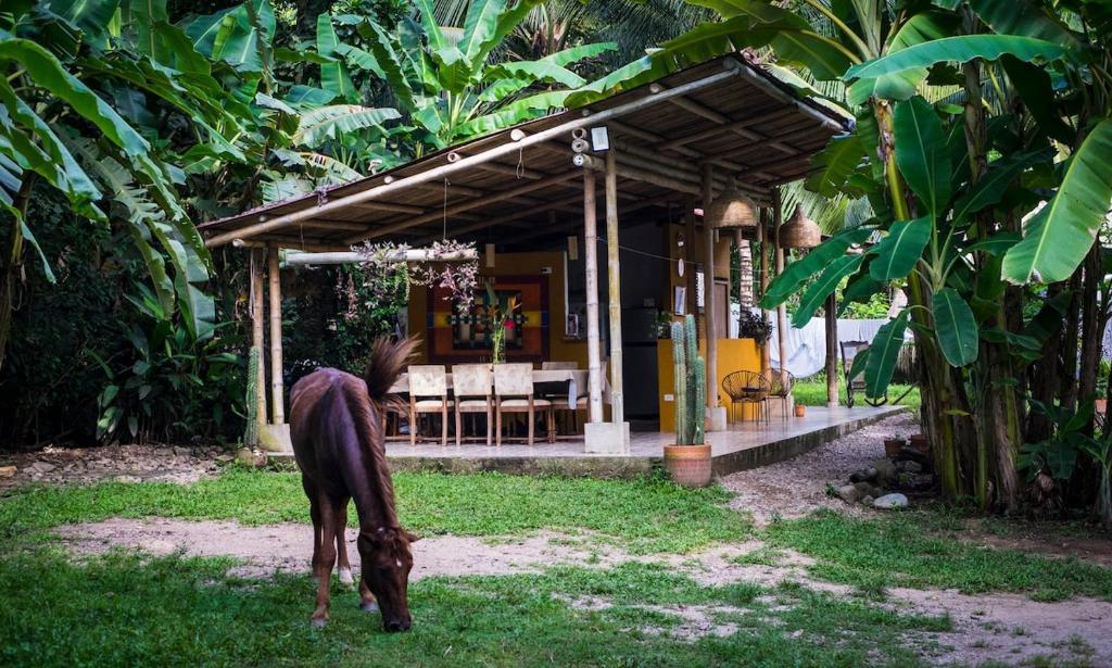 Casa Rita - 2