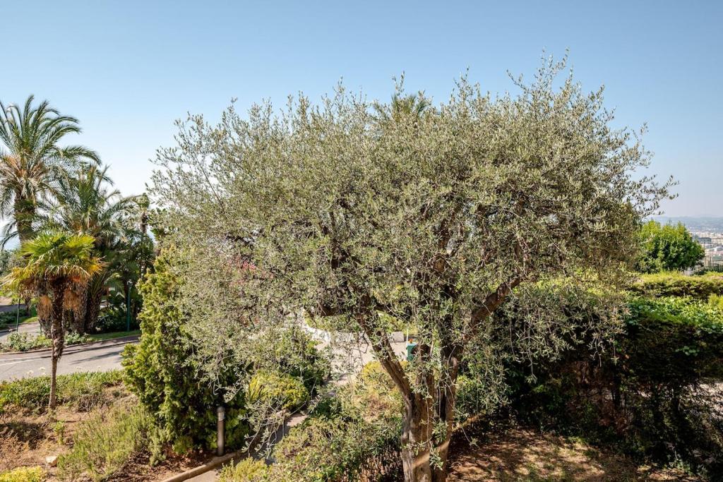 Renovated apartment in Les Belles Terres - sea view - 4