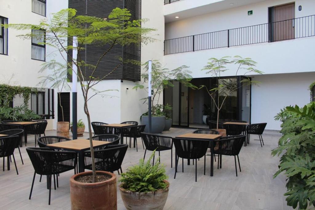 Suite King Moderna en el Centro Guadalajara - 4