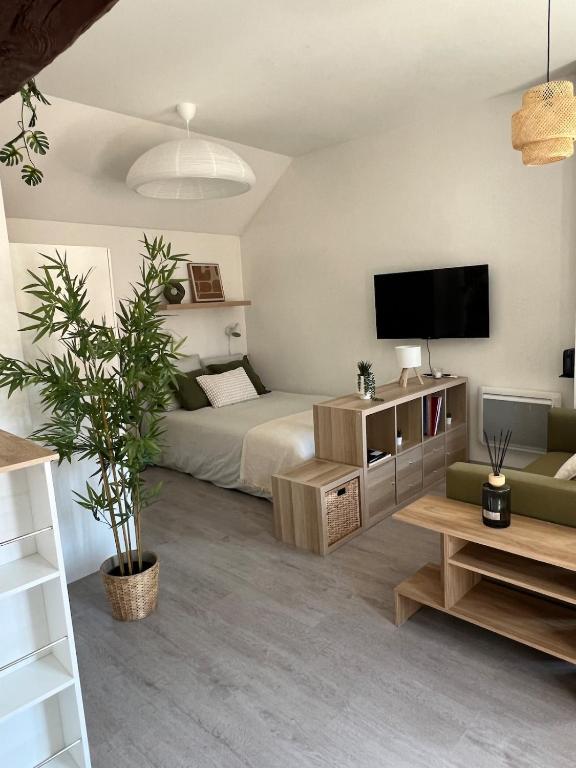 Spacious & Quiet Studio - 50 m from Metz Cathedral - 1
