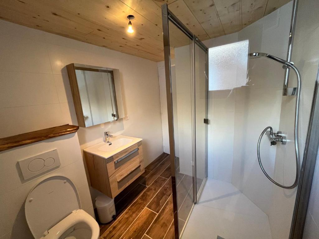 Appartement animaux admis - 6 pers. - FR-1-508-321 - 4