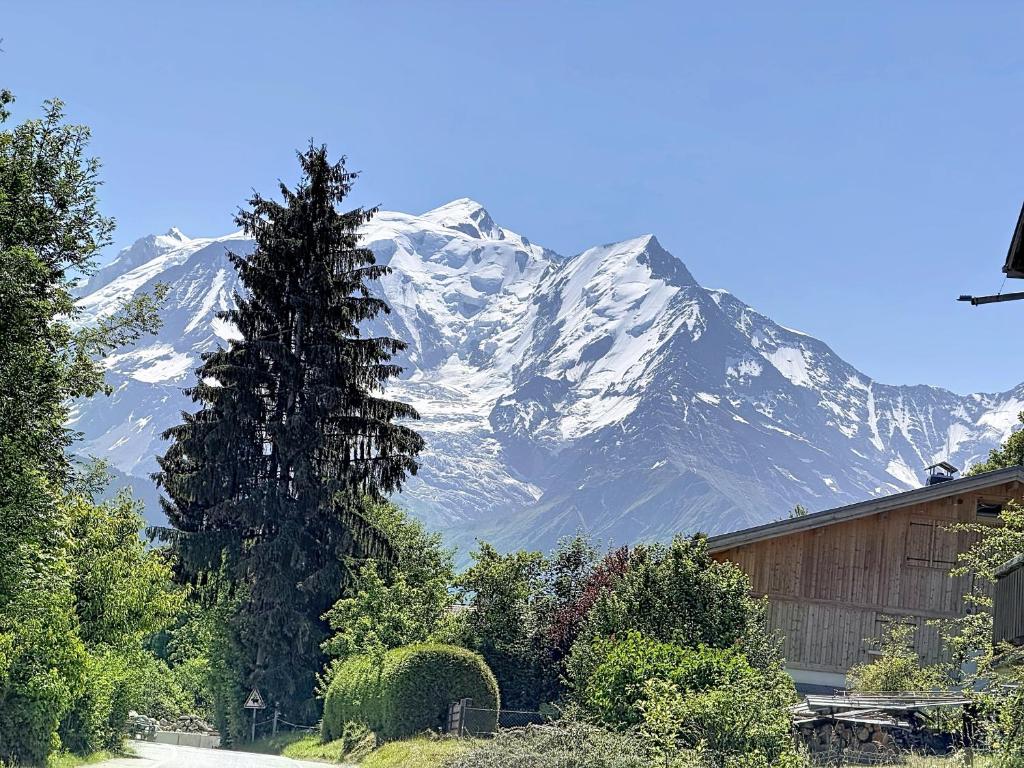 Chalet vue Mont-Blanc - 6 pers. - 4