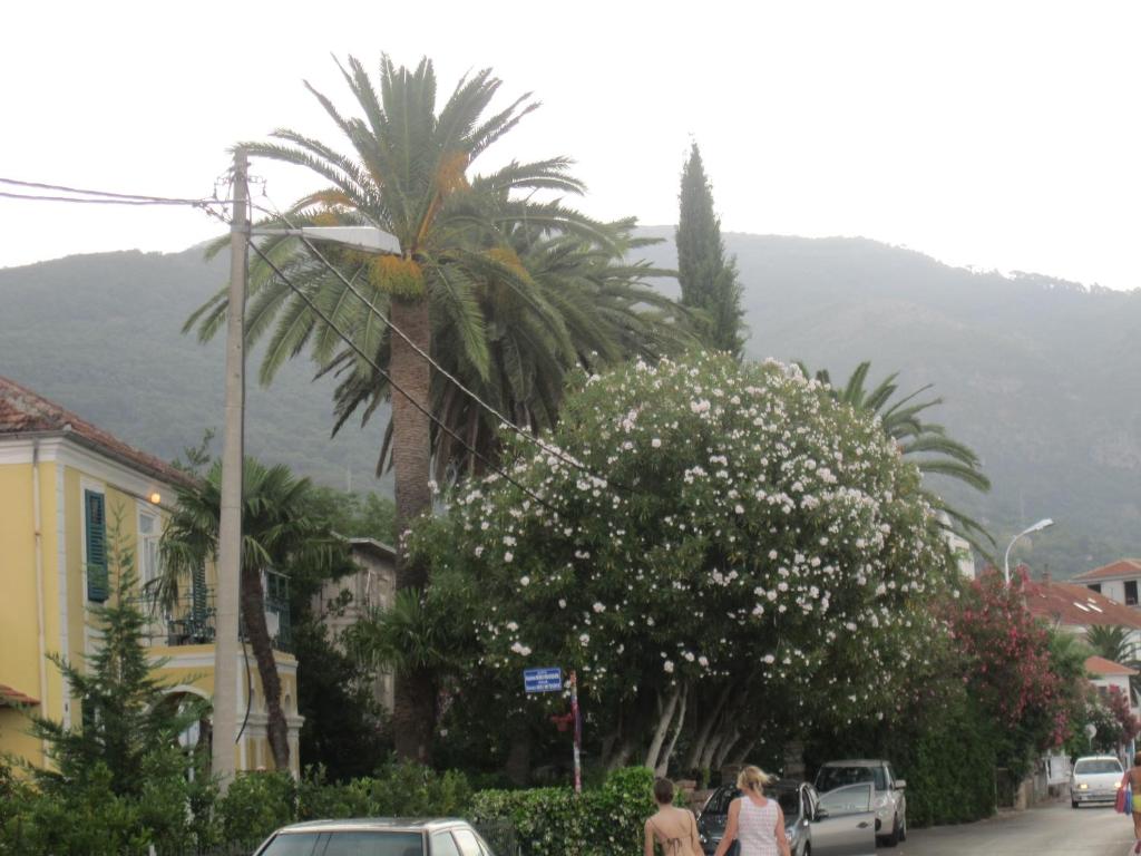 Apartments Delfin - 5
