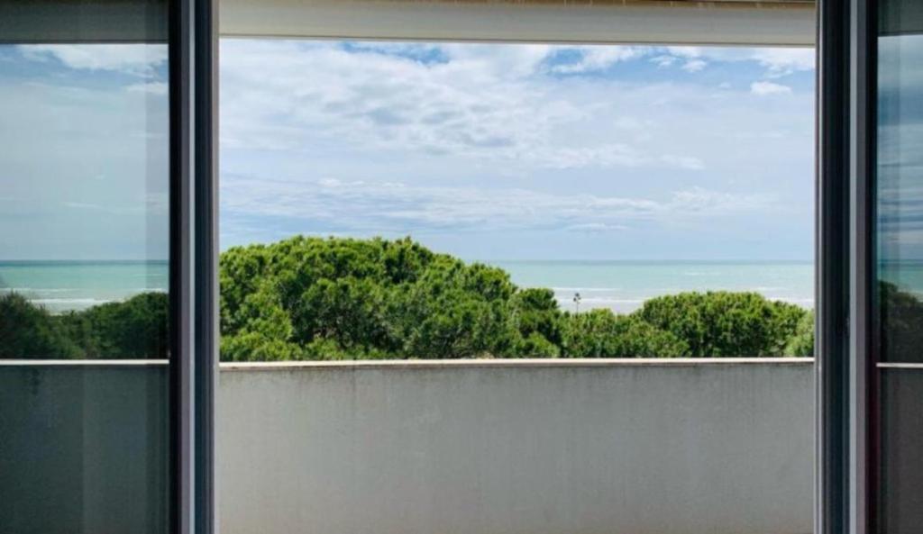 Seafront apartment by the city centre - 1