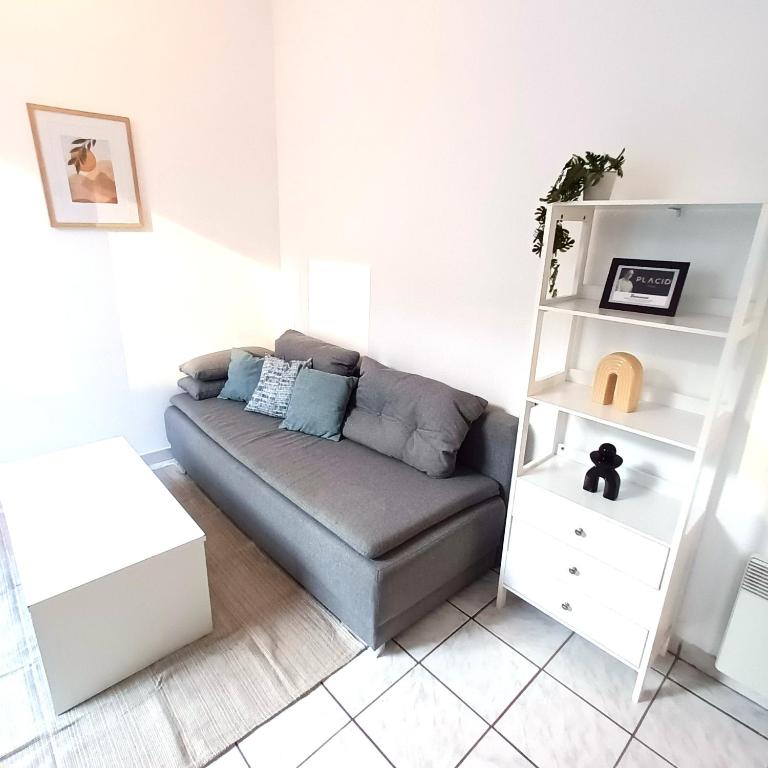 La Cour Palissy - T2 - Wifi - TV - 3