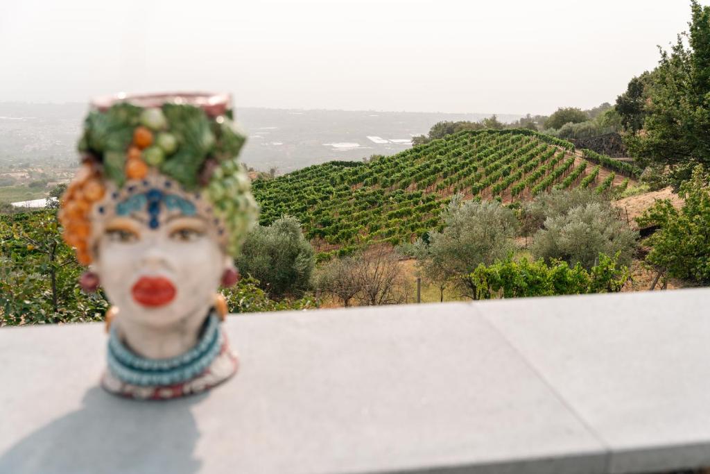 Villa Viognier - Wine and Etna view - 2
