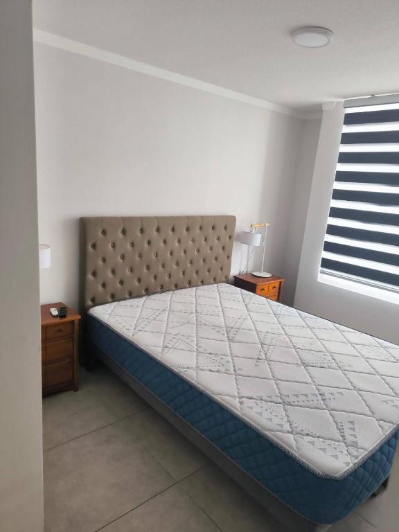 Departamento Coquimbo - 2