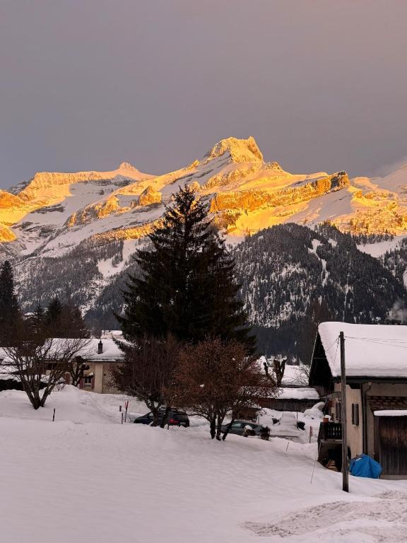 Appartement familial dans Chalet aux Diablerets - 3