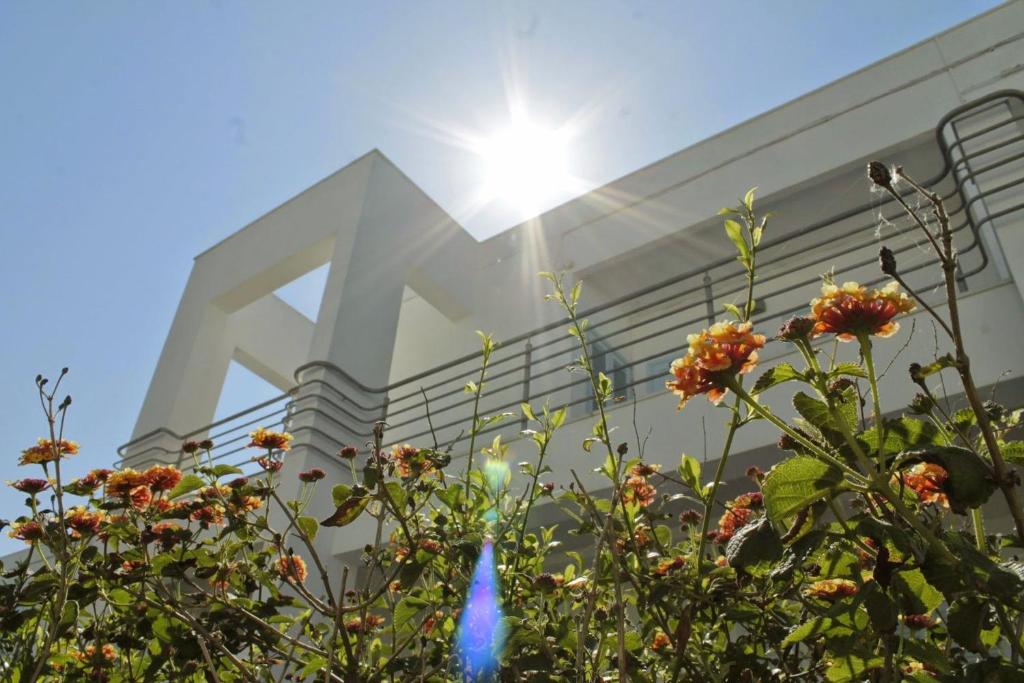 Blumarine Residence Club - 4