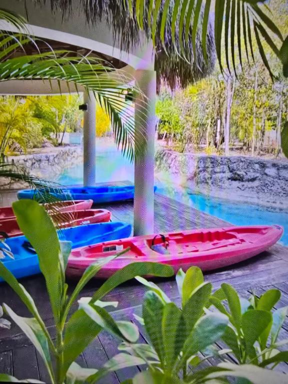 2 bedroom apartment in adorable Playa Del Carmen,Cancun proximity with AC, gym - 3