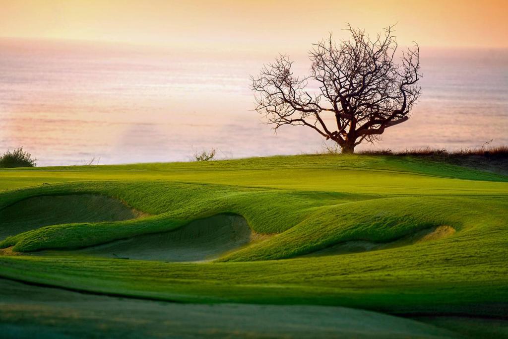 Oceanview 3BR Condominium in Golf Community by The Agency Baja - 5