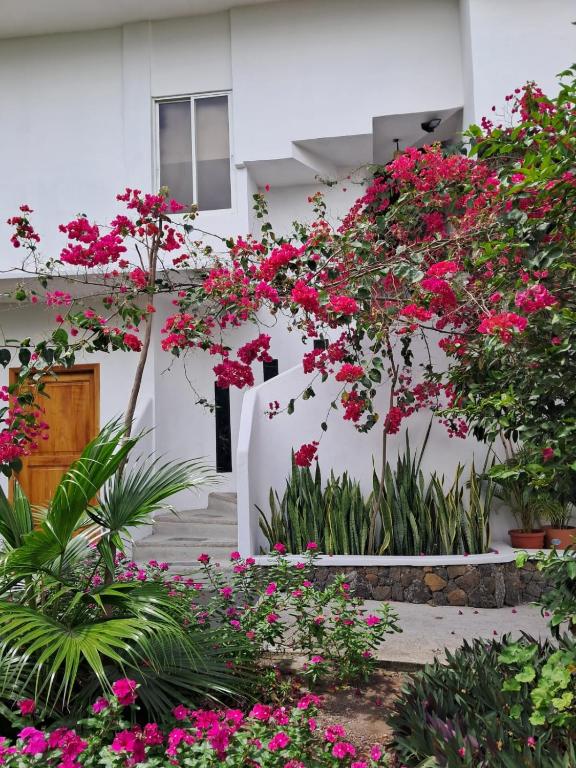 Bahía Garden - 1