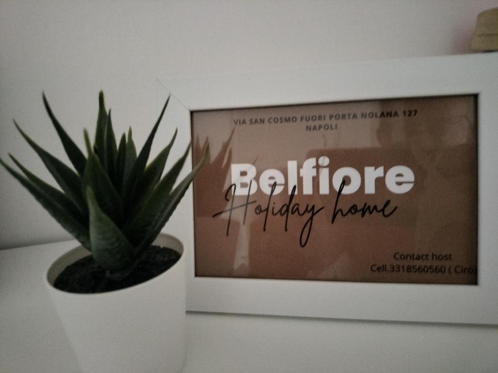 Belfiore - 3