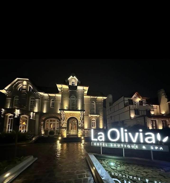 La Olivia Boutique Hotel & Spa - 4