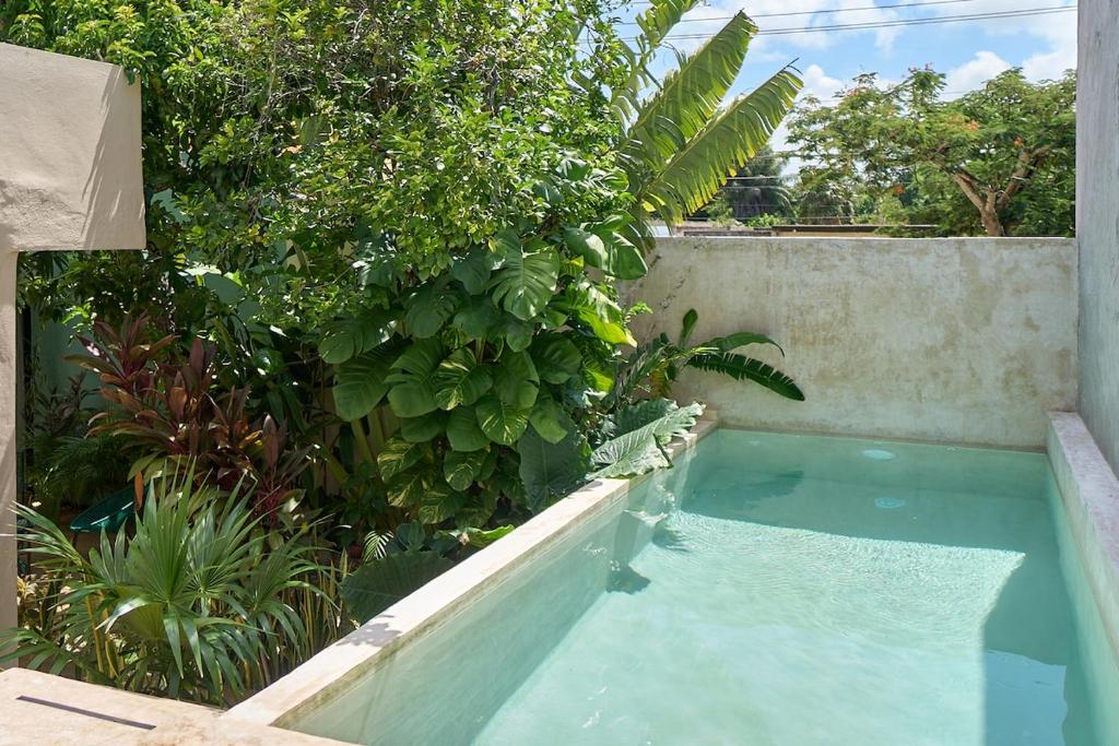 Private House with Pool, 2 Bedrooms, Parking & 2 Free Bikes - 5