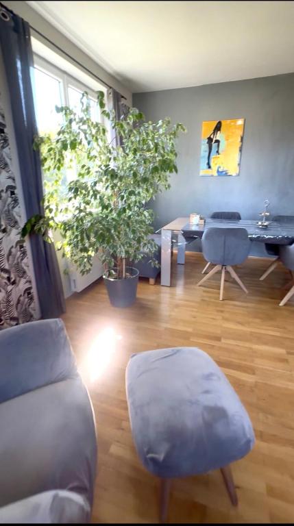 Big Apartment With Balcony - 2