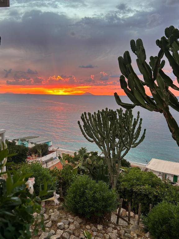 Mediterranean Boutique Hotel - 4