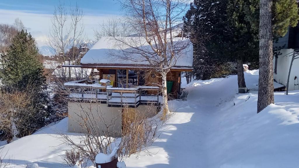 Chalet AS des Pics - 1