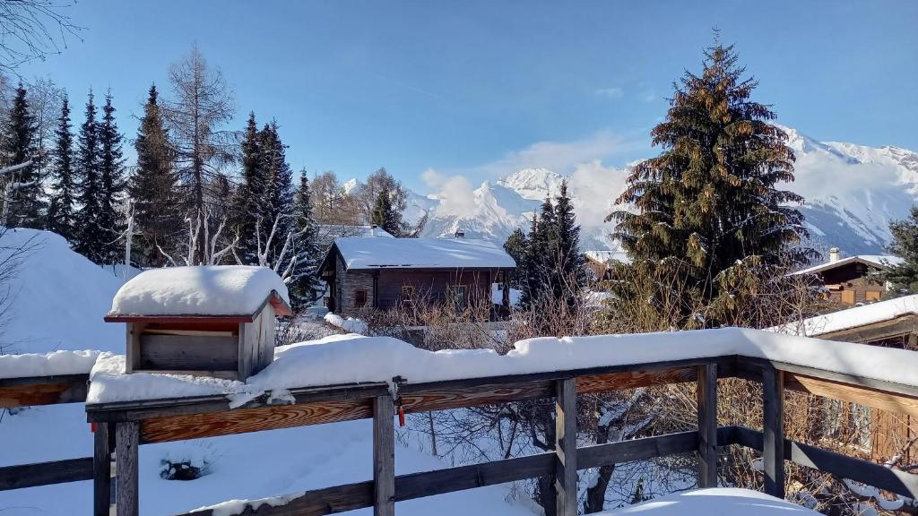 Chalet AS des Pics - 3