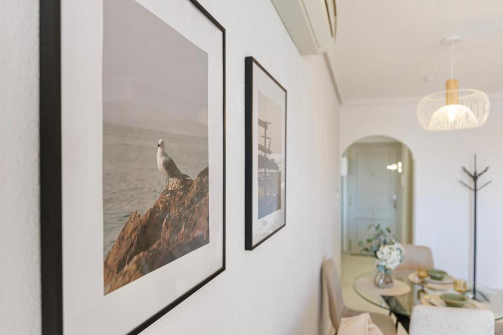 Apartamento LINDO - 3