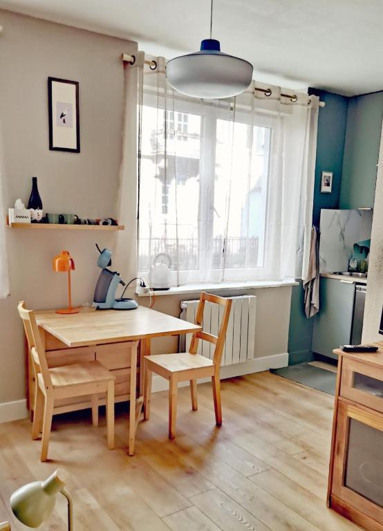 Studio calme rez-de-jardin proche tram - 1