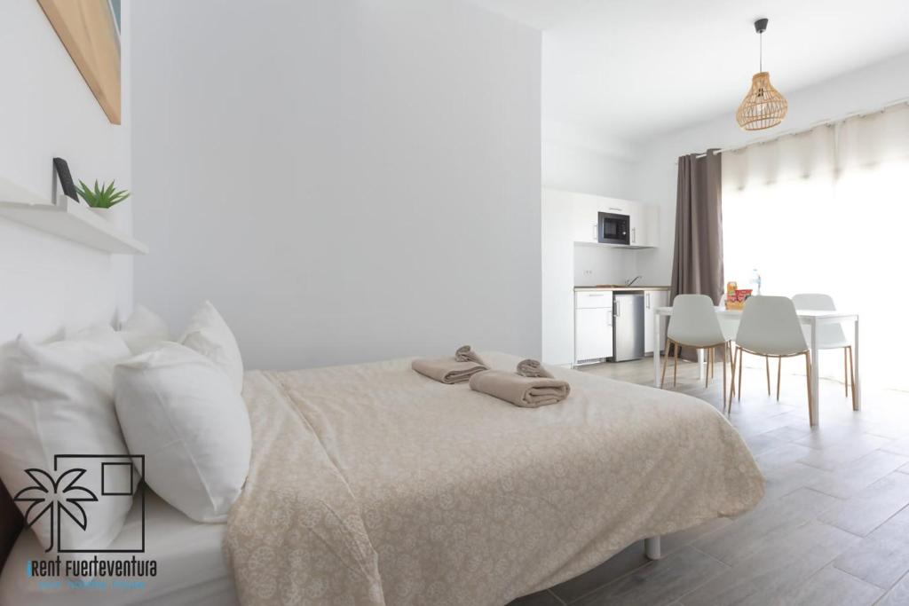 Lola Loft 5 Lajares by iRent Fuerteventura - 5