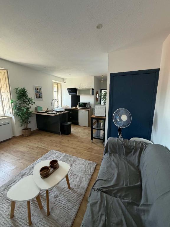 Appartement centre-ville de Narbonne - 2