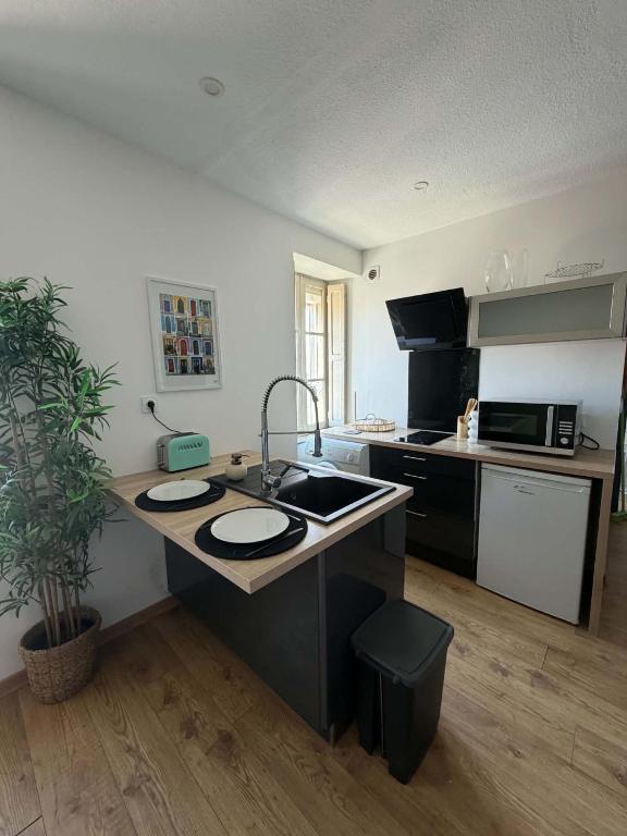 Appartement centre-ville de Narbonne - 5