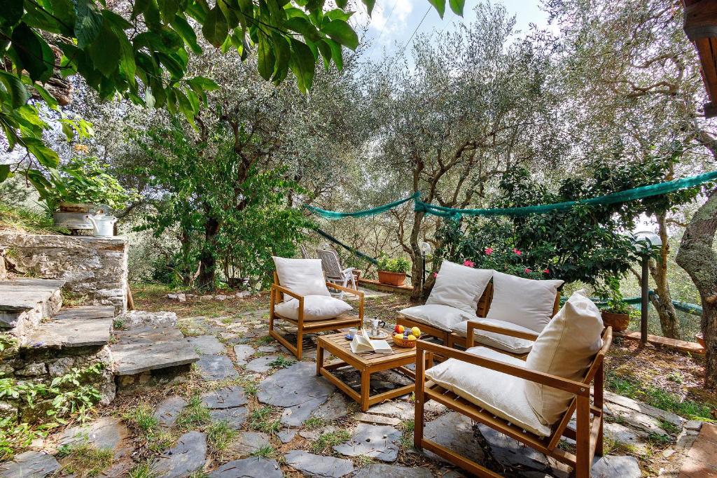 Vacanza tra gli olivi - Camaiore - 1