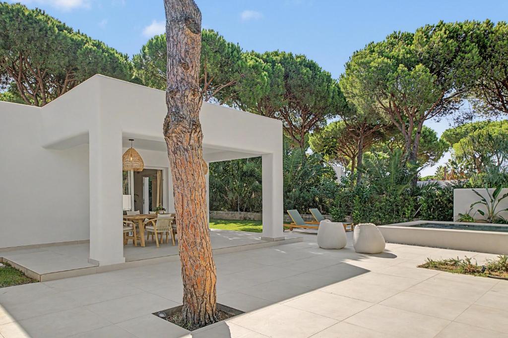 Villa Pinar - 4