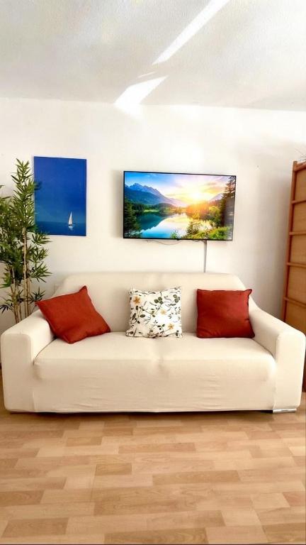 Estudio Bruselas - 4