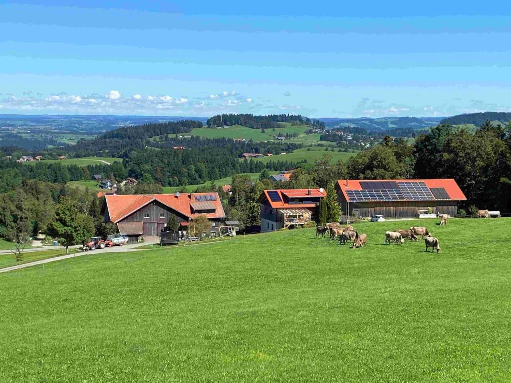 Ferienhof Milz - 1
