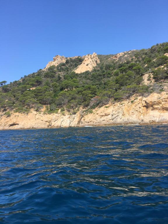 apartamento cala llobeta - 5
