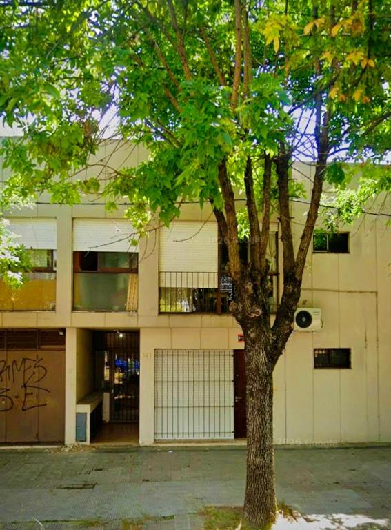 Alojamiento Temporal - Departamento con 3 Dormitorios y Conchera - Avenida 25 y 35 - 2