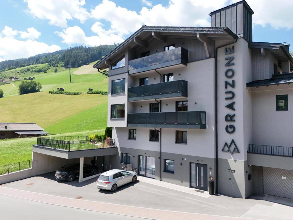 Grauzone Grossarl - 1