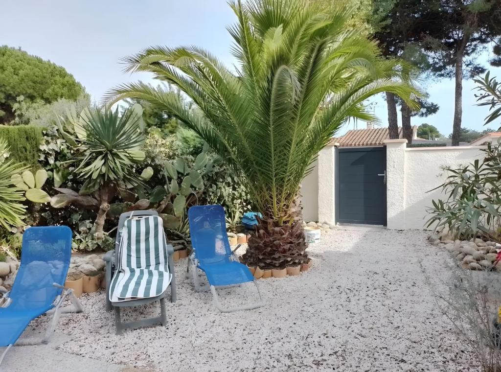 Courses et plage à pied - 4