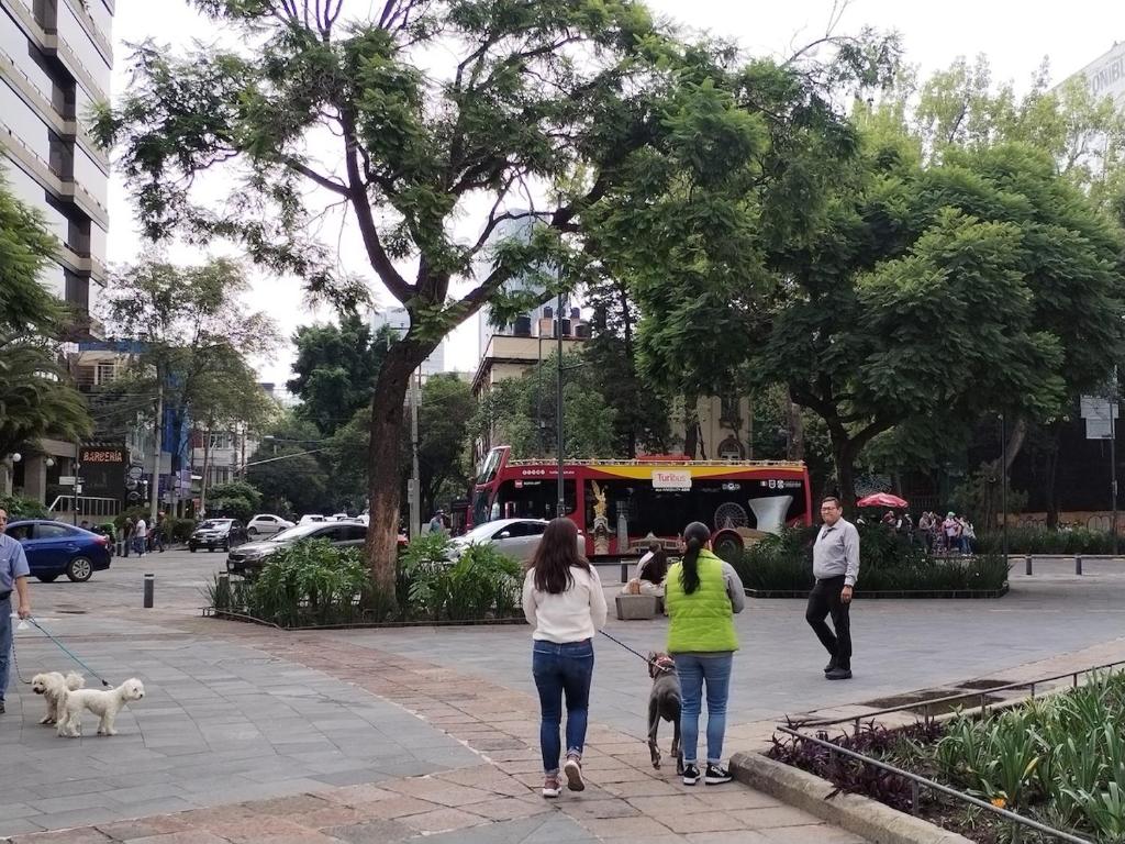 Extraordinaria Casa dentro del corazón de la Roma Norte CDMX - 5