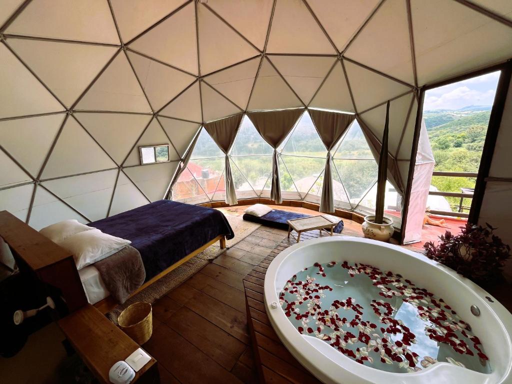 Chichi Jamaica Glamping Hotel Campestre - 2