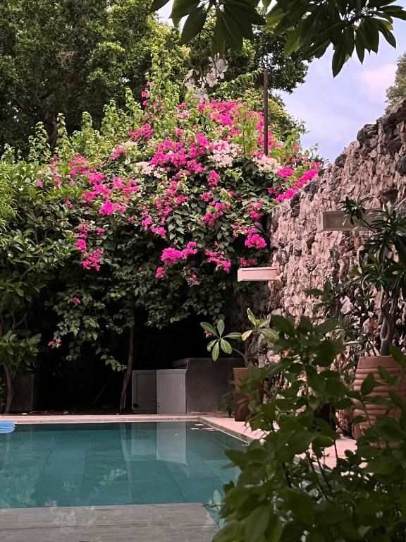 Casa Sacnité Tropical Oasis in Santa Ana - 2