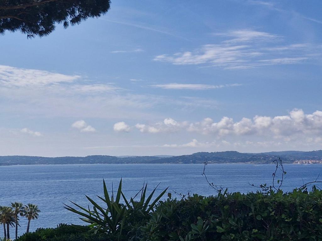 Appartement climatisé, vue mer - 4 pers. - 2