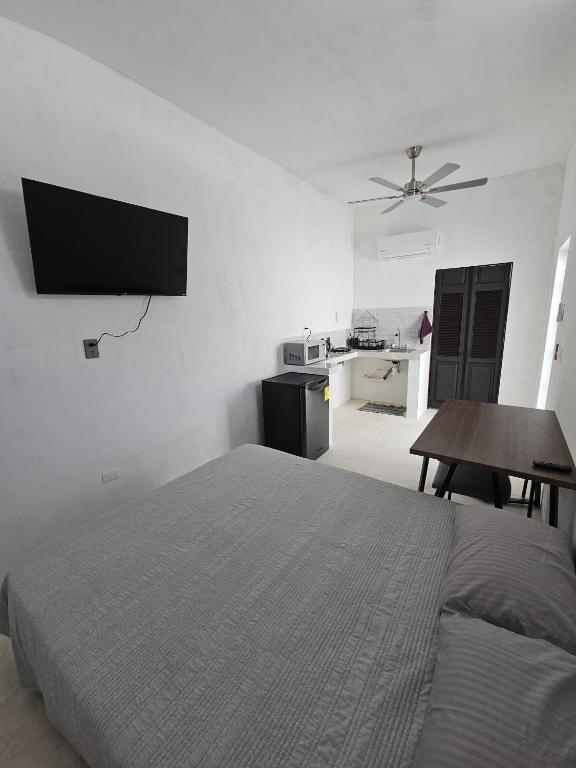 Studio Privado Centrico - 3