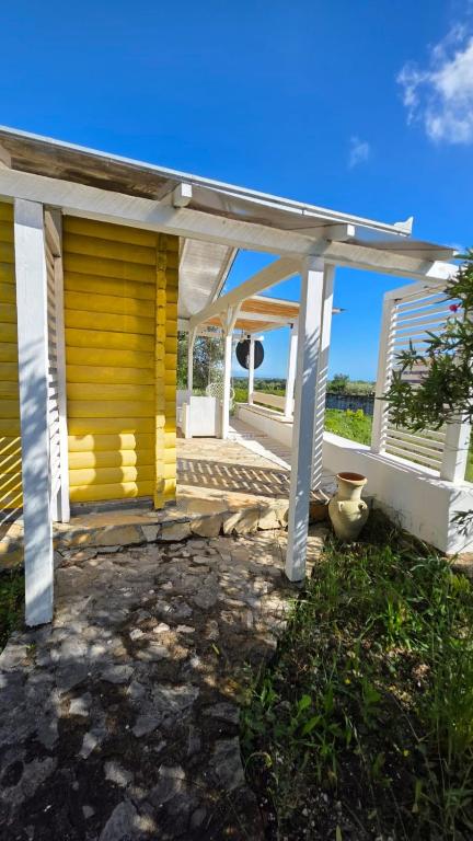 Cozy yellow - 4