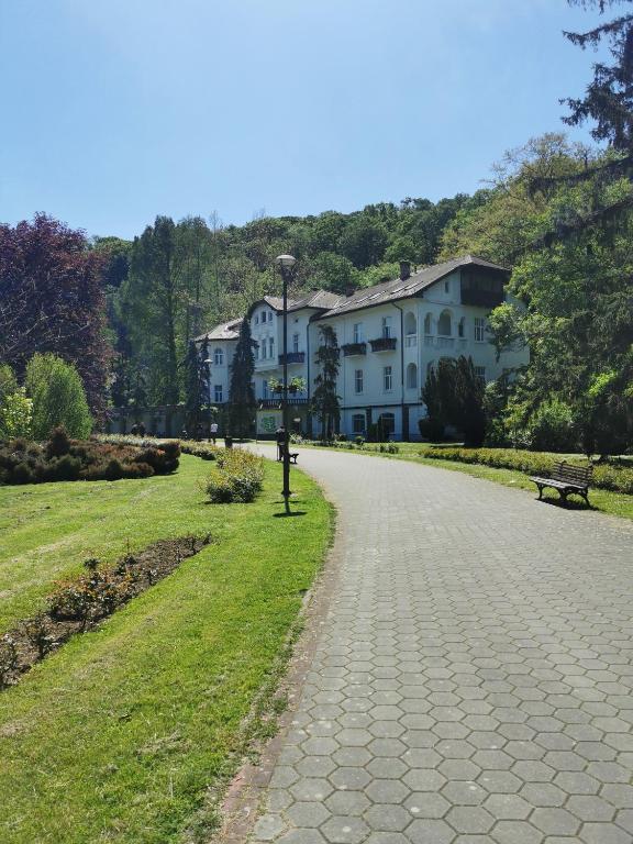 Apartman Banjski snovi - Banja Koviljača - 2