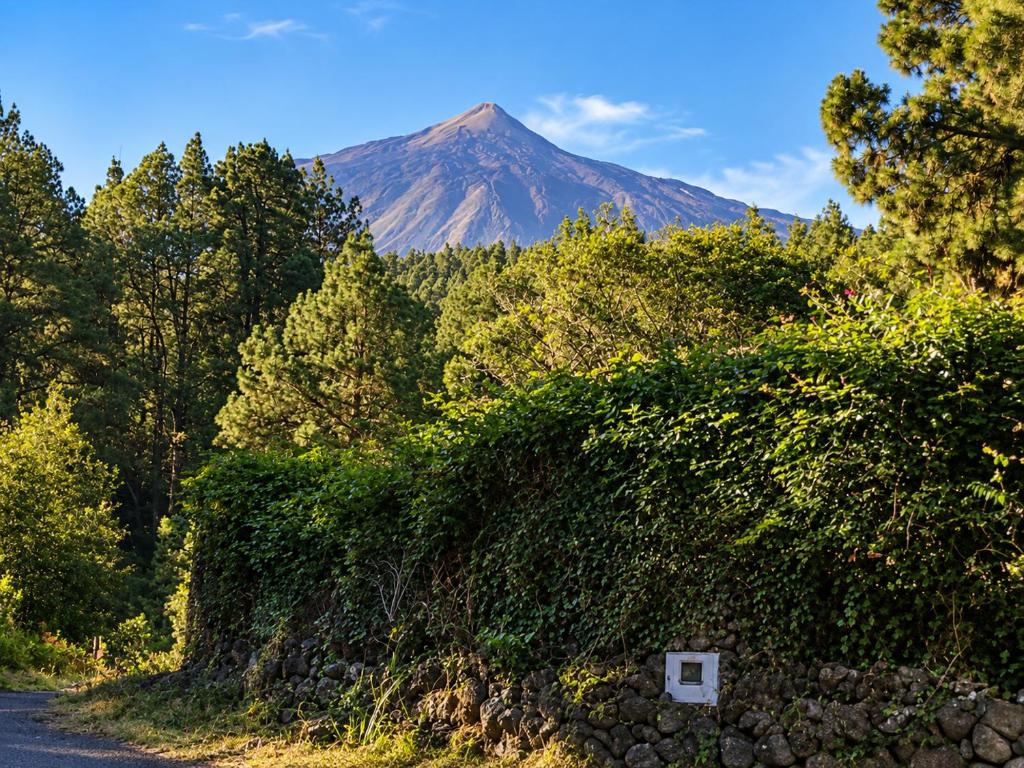 Finca El Sanguino - 2