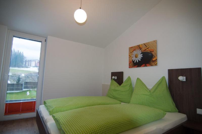 N2 - Ferienwohnung an der Steinbergbahn - 3