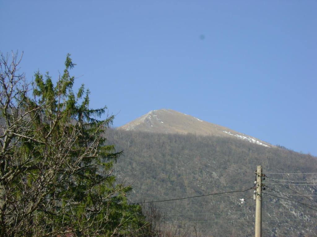Holiday House " Family Radivojevic" — Hotel in Rtanj