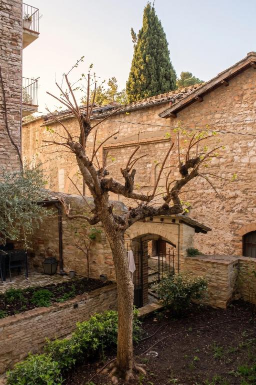 La Corte di San Francesco - 5