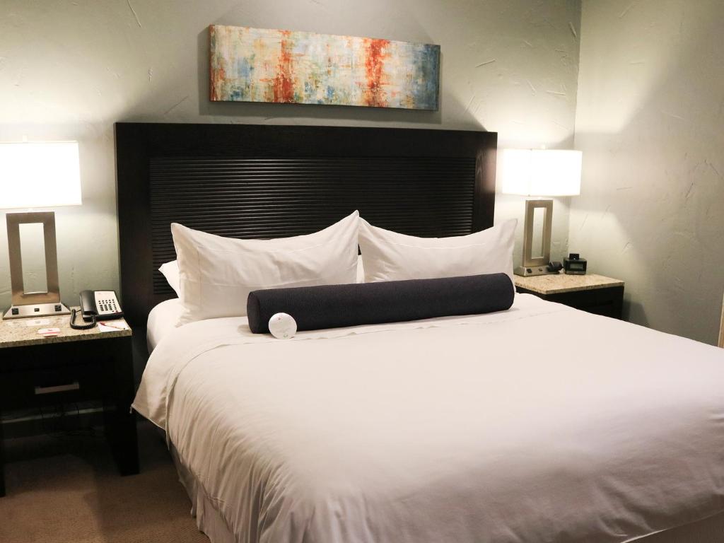 Hotel Coral & Marina photo