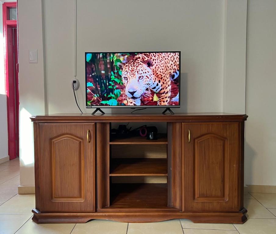 Town Apartment with terrace 4 bedrooms 3 baths - 4